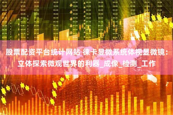 股票配资平台统计网站 徕卡显微系统体视显微镜：立体探索微观世界的利器_成像_检测_工作
