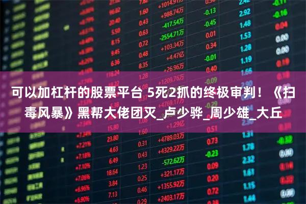 可以加杠杆的股票平台 5死2抓的终极审判！《扫毒风暴》黑帮大佬团灭_卢少骅_周少雄_大丘