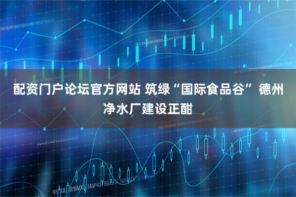 配资门户论坛官方网站 筑绿“国际食品谷” 德州净水厂建设正酣